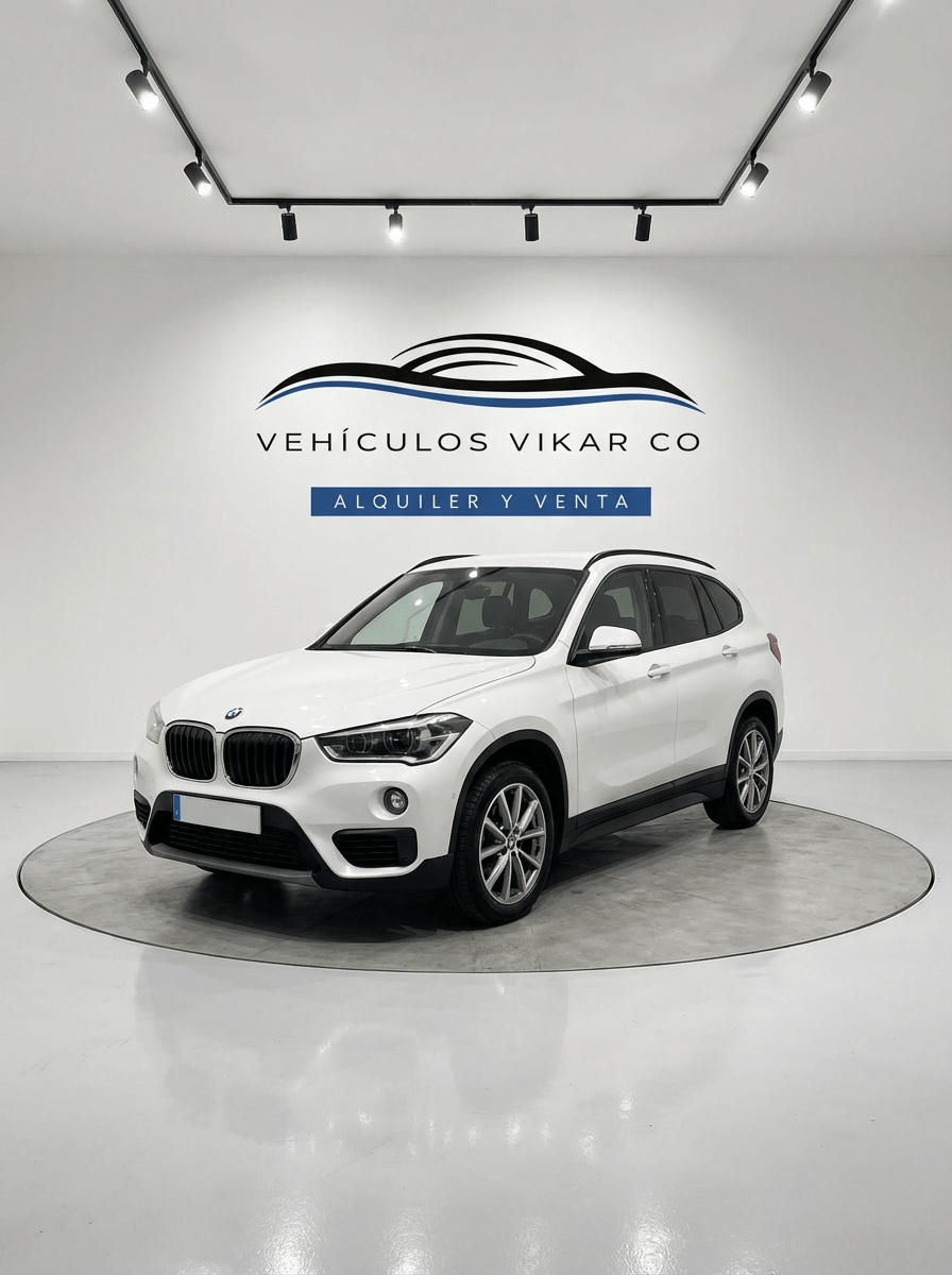 BMW X1 sDrive16d Gris Mineral