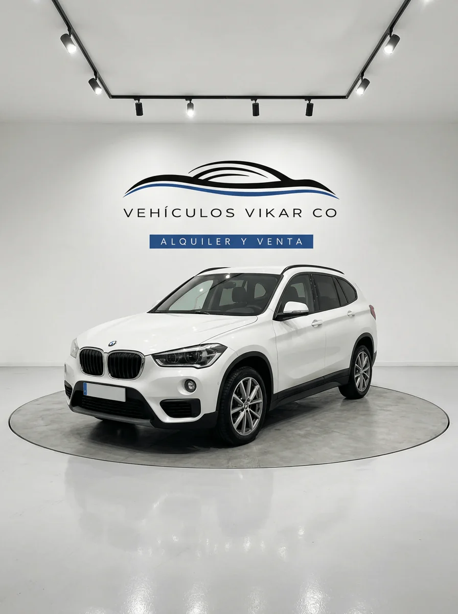 BMW X1 sDrive16d Gris Mineral